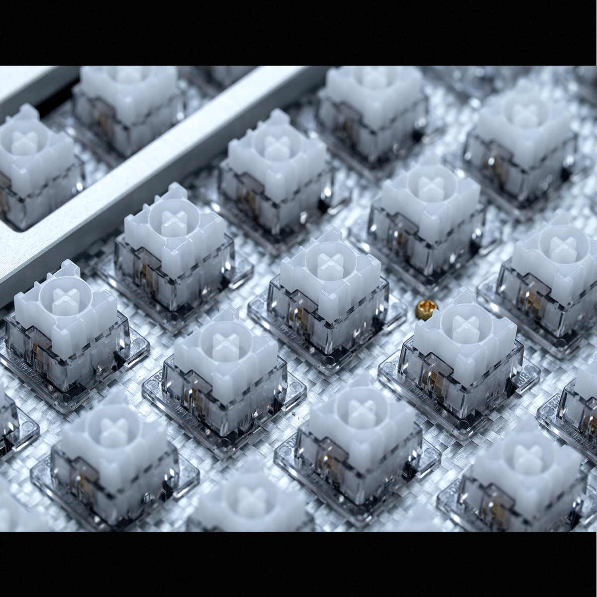 Mount Tai Maglev Switch Linear - đánh giá và giá Keyboard Lube Kit