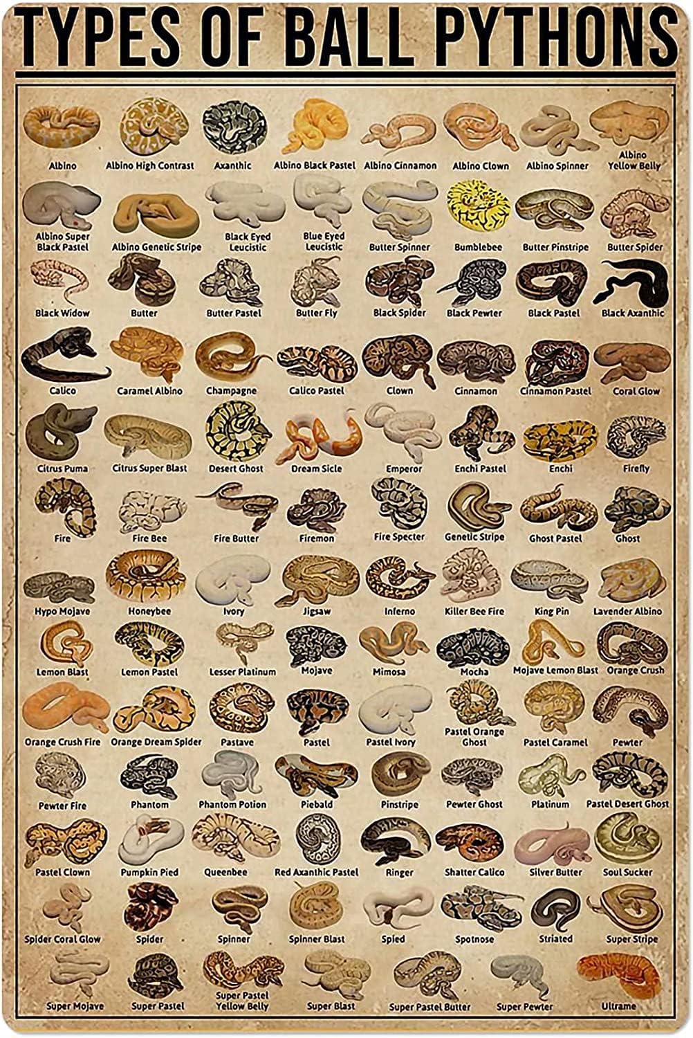 Retro Metal Tin Sign Types of  - đánh giá và giá Brass Weight Plate